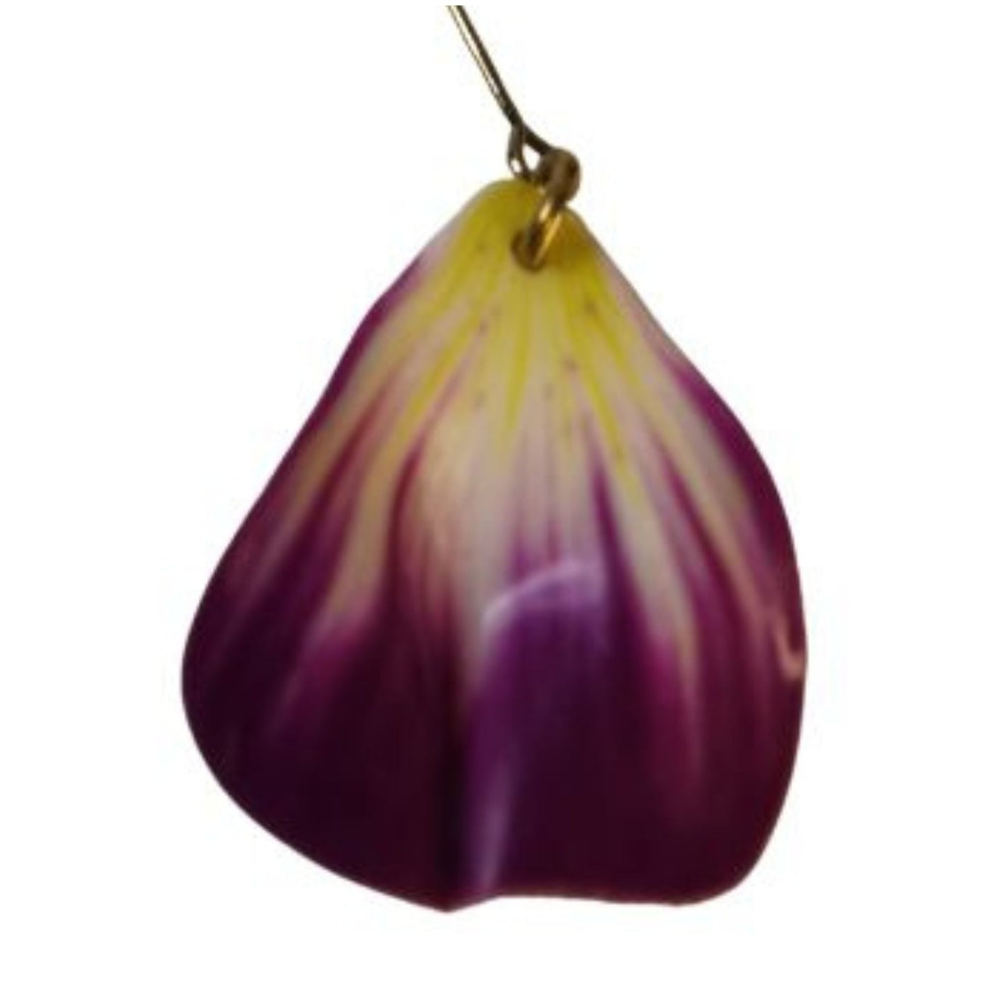 Hængende blomster blade